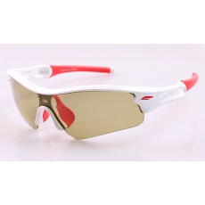 10-107 브라운 변색편광 